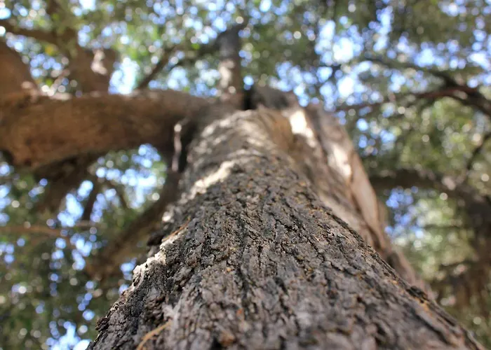 Appartamento With Parking Space Orebic, Peljesac - 10185